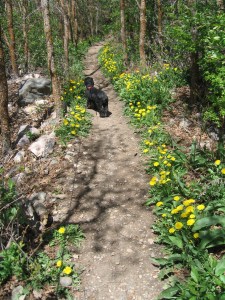 Come on, let's go. Maggie