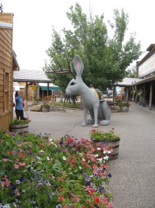 The Jackalope in the Backyard -- Photo by Pat Bean 