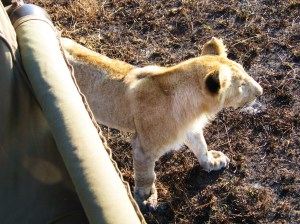 89. Very up close and personal