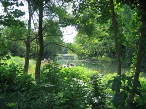 Fishing on the river