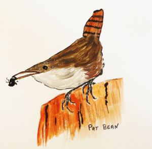 A canyon wren that I saw, and painted, in Zion National Park.
