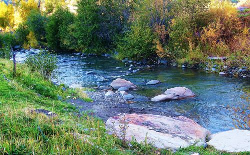 The Blanco River, Colorado. Notice how the details of light against shadow, hard rocks against flowing water are what make this an appealing picture. -- Photo bu Pat Bean 