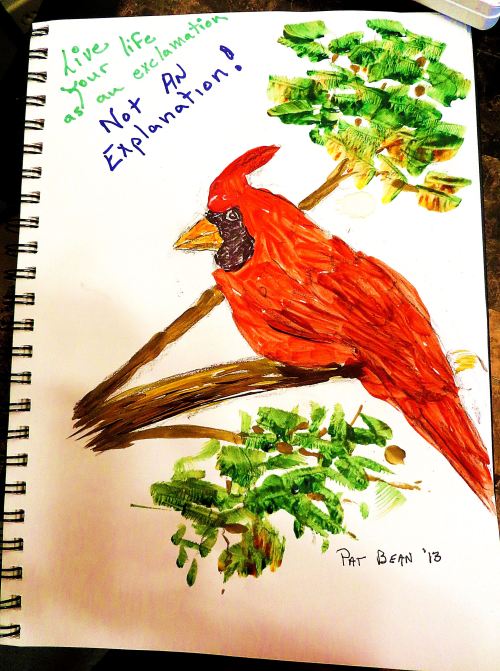 Life as an exclamation is how I saw this northern cardinal.
