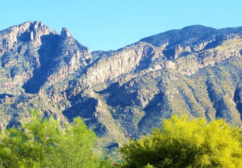 I love the way the yellow tree tops contrast with the mountain off in the distance just a ways. -- Photo by Pat Bean 