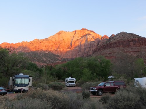 When I took my canine traveling companion on her morning walk at Zion National Park, the view across from my RV glowed. -- Photo by Pat Bean 