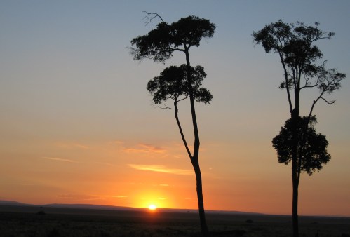 And orange and gold to end it. -- Photo by Pat Bean.