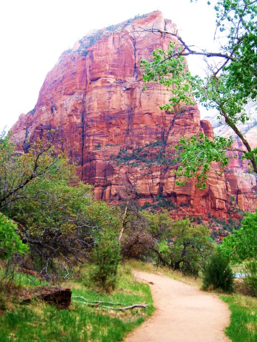 To enjoy the view from above, one first has to get to the top of Angel's Landing in Zion National Park. -- Photo by Pat Bean 