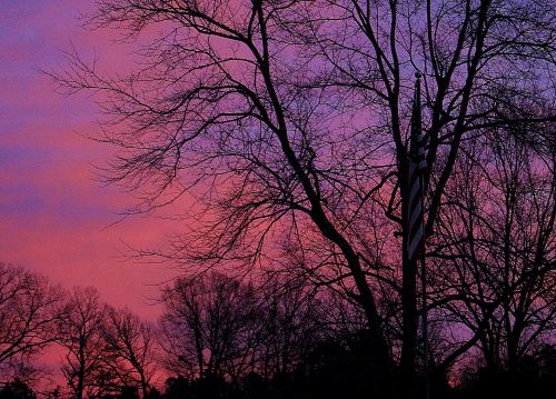 Pink and purple to start the day. -- Photo by Pat Bean 