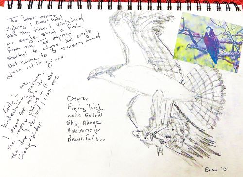 A recent page from one of my art journals. As I sketched the osprey, I thought about all the times I had seen one, and good memories flooded my little gray cells. Illustration by Pat Bean 