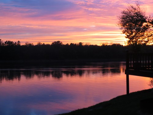 "You are never too old to set a new goal, or dream a new dream. C.S. Lewis