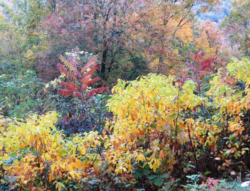 I want to think of September as the beginning of my favorite time of year -- but now I know it has to be shared with 9/11.