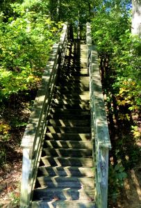 Should I hike the high trail or the low trail? Perhaps I should do both. -- Photo by Pat Bean 