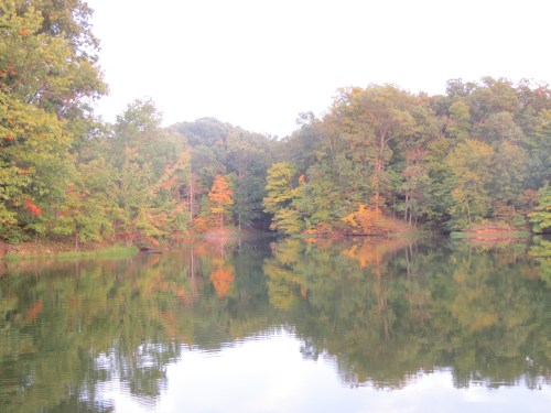 Wherever I traveled, books were always part of the journey. And this lake in Illinois' Lincoln Trail State Park is just one of many I've sat beside while reading. -- Photo by Pat Bean 