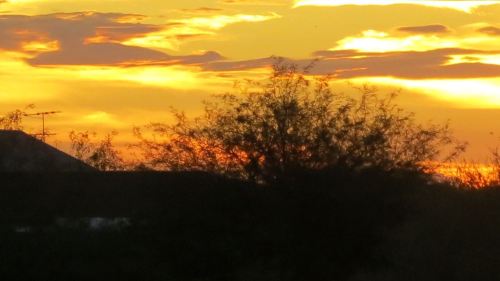 Tucson sunset -- Photo by Pat Bean