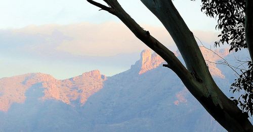 Morning comes to Tucson's Catalina Mountains. -- Photo by Pat Bean 