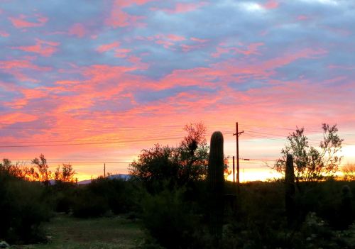 This glorious desert sunset welcomed me home to Tucson