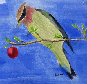 Art of the Day: Cedar Waxwing 