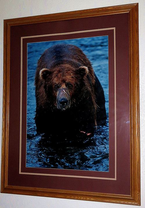 Bubba Bear: He's a survivor, and so am I. 