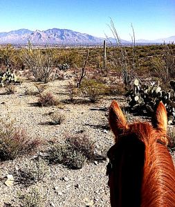 This is a photo my daughter shot while riding alone in the desert. -- Photo by T.C. Ornelas 