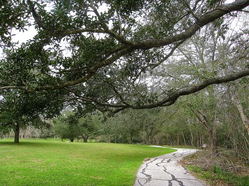 Nothing is more enticing to me than a path -- or a road - that leads to a place unknown. -- Photo by Pat Bean