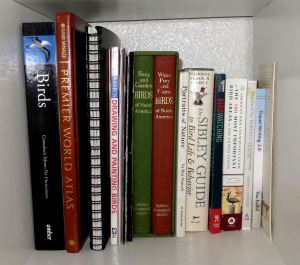 This is one of my living room book shelves. 