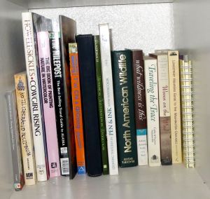 And this is another. Before I sized down for my RV travels, I had book cases in every room of my house. I haven't quite repeated that in my Tucson apartment, but I can say you will find books in every room of my home. 