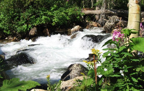 Find a stream and sit be it. Listen to the birds, glance at the sky, become one with yourself. -- Photo by Pat Bean 