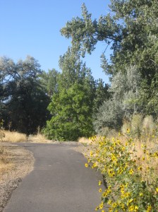 It feels good to have weathered that storm, and to once again be on the path I chose for myself. While I've thought about other paths, they aren't the ones that sustain me. -- Photo by Pat Bean 