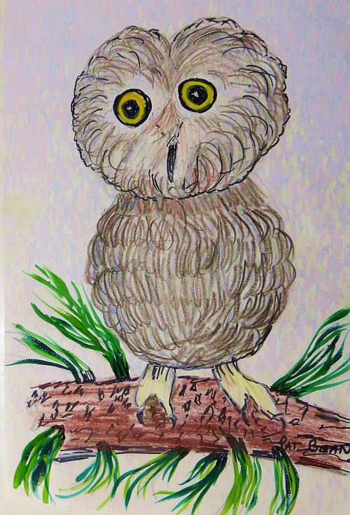 While I may sketch an owl now and then, I'm no night owl. Just call me an early bird. -- Illustration by Pat Bean 