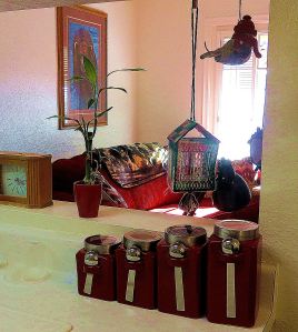 Sunlight streams into my apartment on only a few winter days. But each day it flows in, the patterns are slightly different in the view I have from my kitchen. -- Photo by Pat Bean 