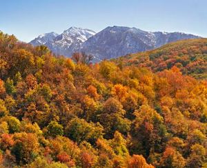 Snowbasin, where the 2002 Winter Olympics downhill events were held, during a fall drive up Ogden Canyon in Northern Utah. In one of those the-world-is-small coincidences, Sister Bright ended up living for a while with her daughter in Roy, Utah, just 15 minutes from my Ogden, Utah, home. Occasionally I would pick her up and we would take a scenic drive up the canyon. She was frail by this time, and the outings cheered her up. It was my turn to pass it on.