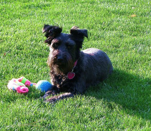 If only she smelled as good as she looked. -- Photo by Pat Bean 