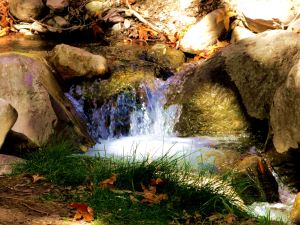 Miniature waterfalls were around every bend. -- Photo by Pat Bean 
