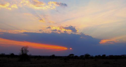 It could be a mistake wandering around beneath this flamboyant sunset in Kenya's Serengeti National Park. -- Photo by Pat Bean