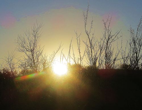 Sunrise at my apartment in northeast Tucson. -- Photo by Pat Bean