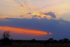 The sundowner sunset. -- Photo by Pat Bean 