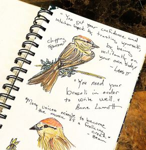 I'm rereading all my journals these days -- most for the first time. What fun. 