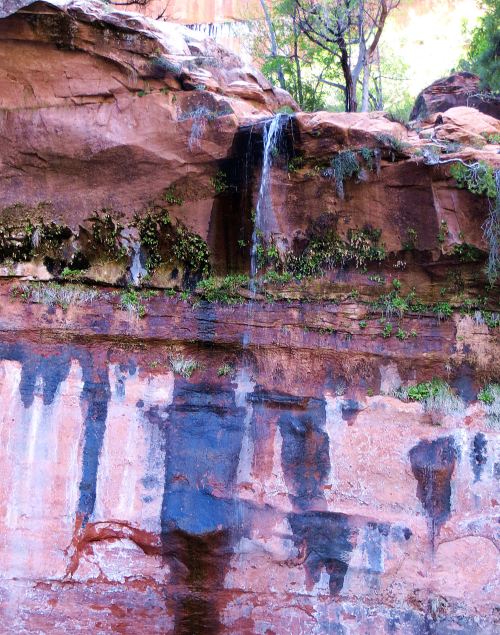 The trail led beside and beneath the waterfalls. I do so love Zion. -- Photo by Pat Bean 