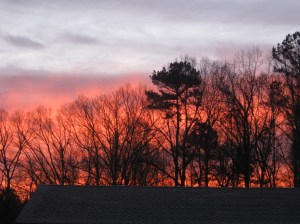 And before you know it, the world is filled with light once again. -- photo by Pat Bean 