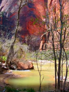 The Virgin River in Zion National Park. I remember when this river tore out the Zion Canyon Road after a heavy rain. The time is fondly remembered as the camping trip from hell. -- Photo by Pat Bean 