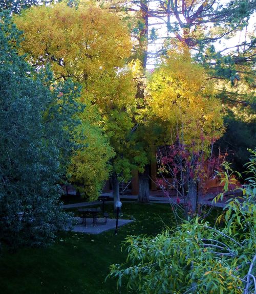 The view from my living room balcony, from which I've been watching fall come to my apartment complex -- because I've had time to do so. -- Photo by Pat Bean 
