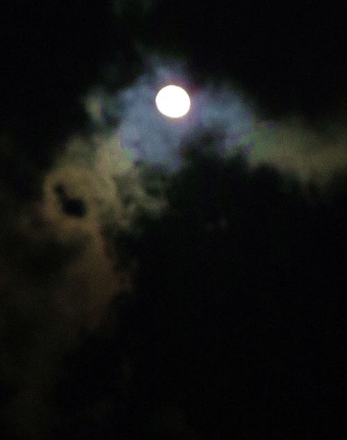 My writing often starts out like this night's sky. While I'm kind of moonstruck, heading toward the light, the magical way to get there is light years away. -- Photo by Pat Bean