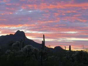 And this is the Arizona landscape where I live now, and which does not participate in Daylight Saving Time. -- Photo by Pat Bean