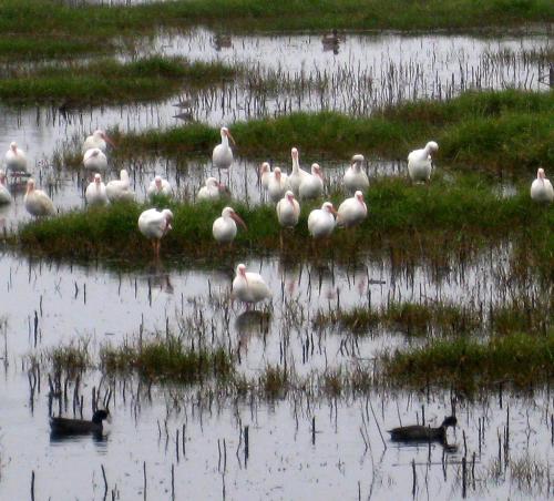 This is the kind of landscape I was living in when Texas changed to Daylight Saving Time back in 1967. -- Photo by Pat Bean