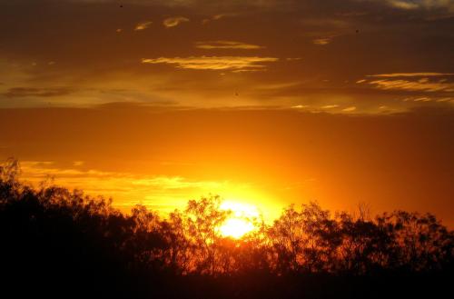 I don't drive at night, but I do like to be on the road in time to catch the sunrise. I caught this one on my last road trip to Texas. = Photo by Pat Bean 