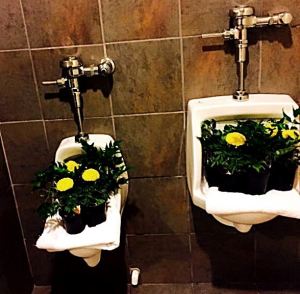 And someone was kind enough to turn the urinals into unique vases.