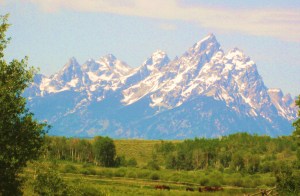 But there's no mistaking the Grand Teton as a hill. -- Photo by Pat Bean 