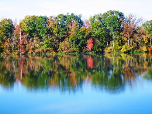 The view of autumn painting a mosaic landscape on the far side of Lake Claiborne was a vivid image from the rear window of my RV at Isaac Creek Campground in Alabama. -- Photo by Pat Beean