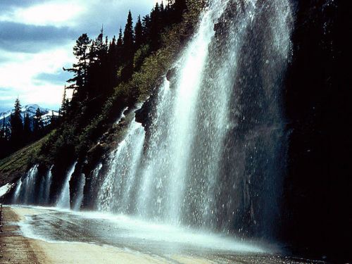 The Weeping Wall on the Going to the Sun Road. -- Wikimedia Photo 