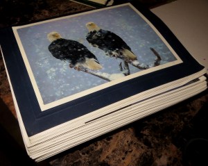 My Alaska postcard journal. 